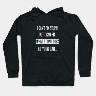 I can't fix stupid. But I can fix what stupid does to your car. Hoodie